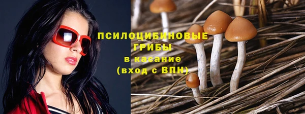 героин Алзамай