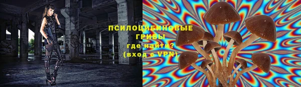 героин Алзамай