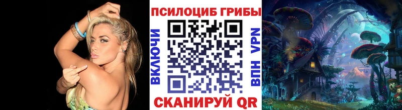 Псилоцибиновые грибы Psilocybine cubensis  Сысерть 