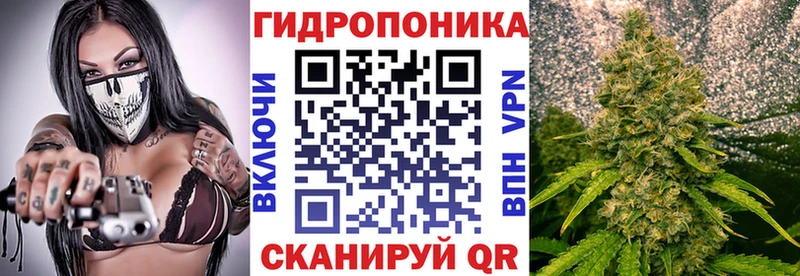 наркошоп  Сысерть  Конопля сатива 